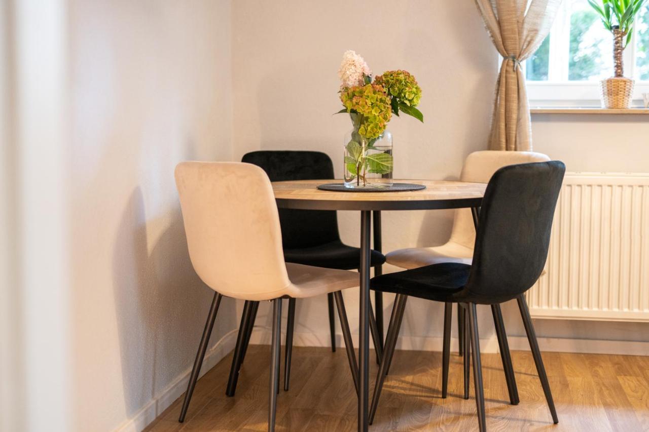 Toni Charming Apartment Im Idyllischem Villenviertel Mit Netflix Dresde Exterior foto