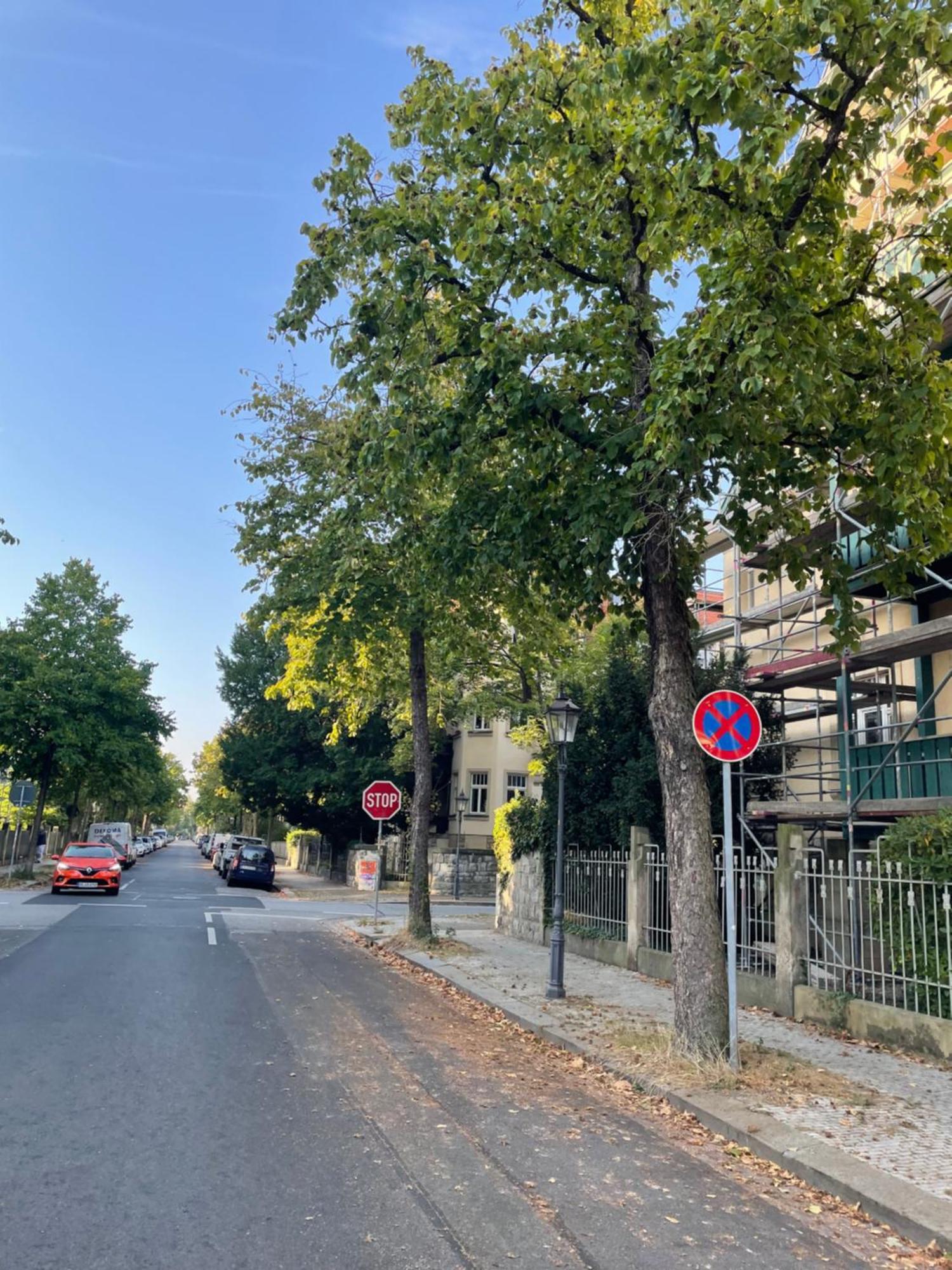 Toni Charming Apartment Im Idyllischem Villenviertel Mit Netflix Dresde Exterior foto